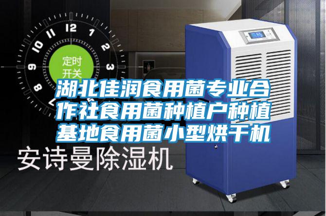 湖北佳润食用菌专业合作社食用菌种植户种植基地食用菌小型烘干机