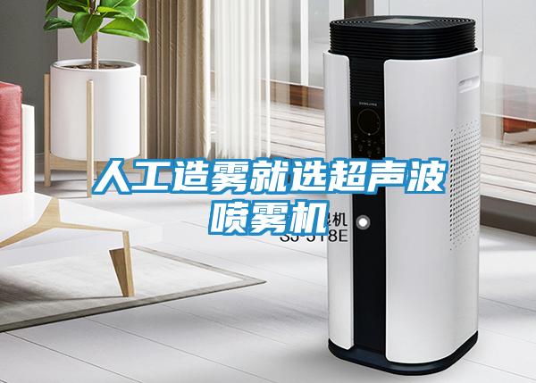 人工造雾就选超声波喷雾机