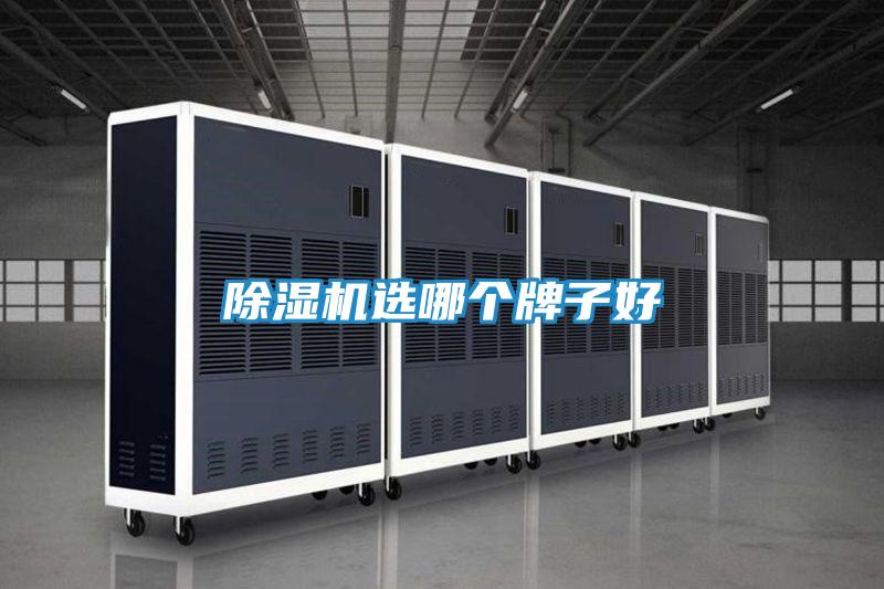 除湿机选哪个牌子好