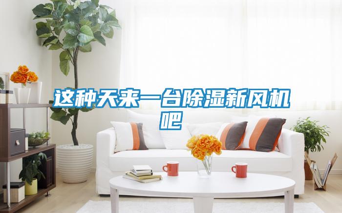 这种天来一台除湿新风机吧