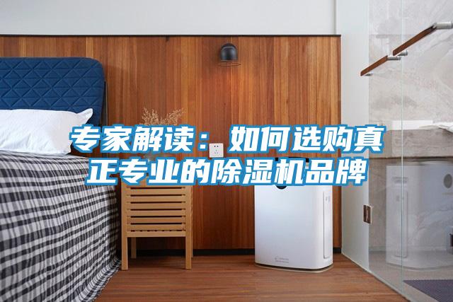 专家解读：如何选购真正专业的除湿机品牌