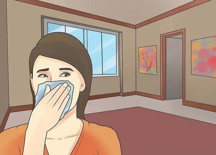 我们什么时候需要使用家用除湿机?