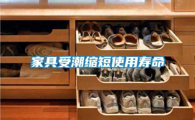 家具受潮缩短使用寿命