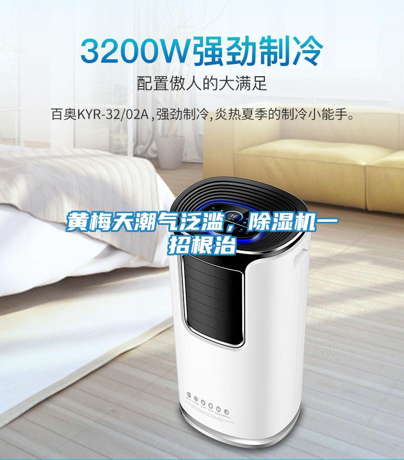 黄梅天潮气泛滥，除湿机一招根治
