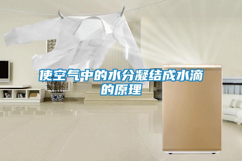 使空气中的水分凝结成水滴的原理