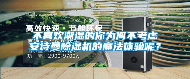 不喜欢潮湿的你为何不考虑安诗曼除湿机的魔法体验呢？