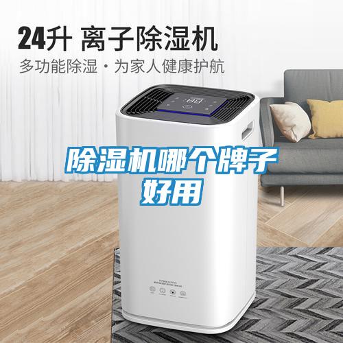除湿机哪个牌子好用
