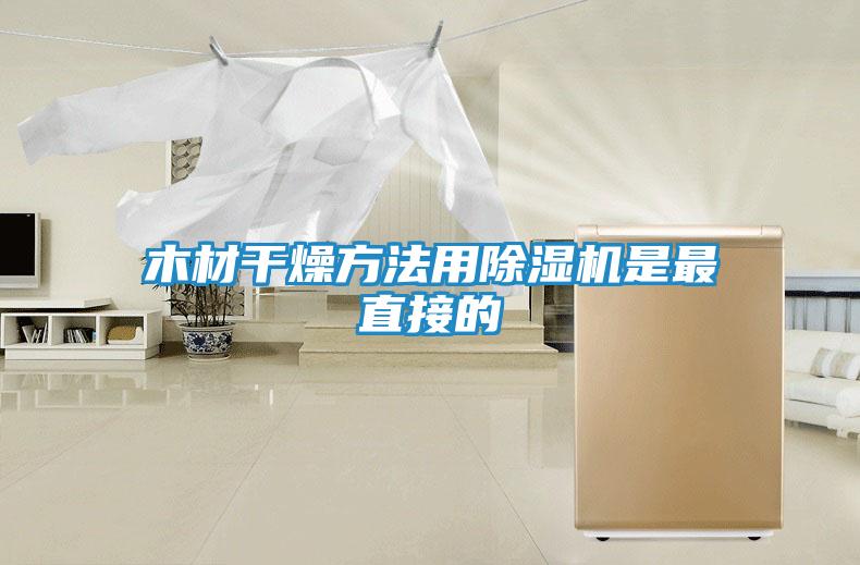 木材干燥方法用除湿机是最直接的