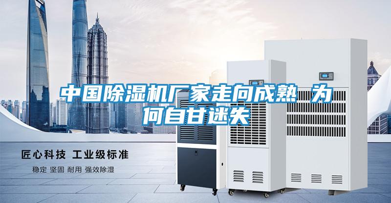 中国除湿机厂家走向成熟 为何自甘迷失