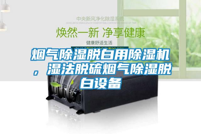 烟气除湿脱白用除湿机，湿法脱硫烟气除湿脱白设备