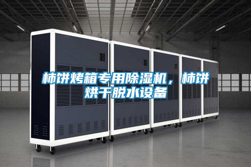 柿饼烤箱专用除湿机,柿饼烘干脱水设备
