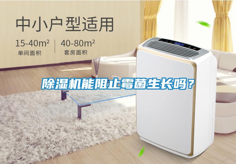 除湿机能阻止霉菌生长吗？