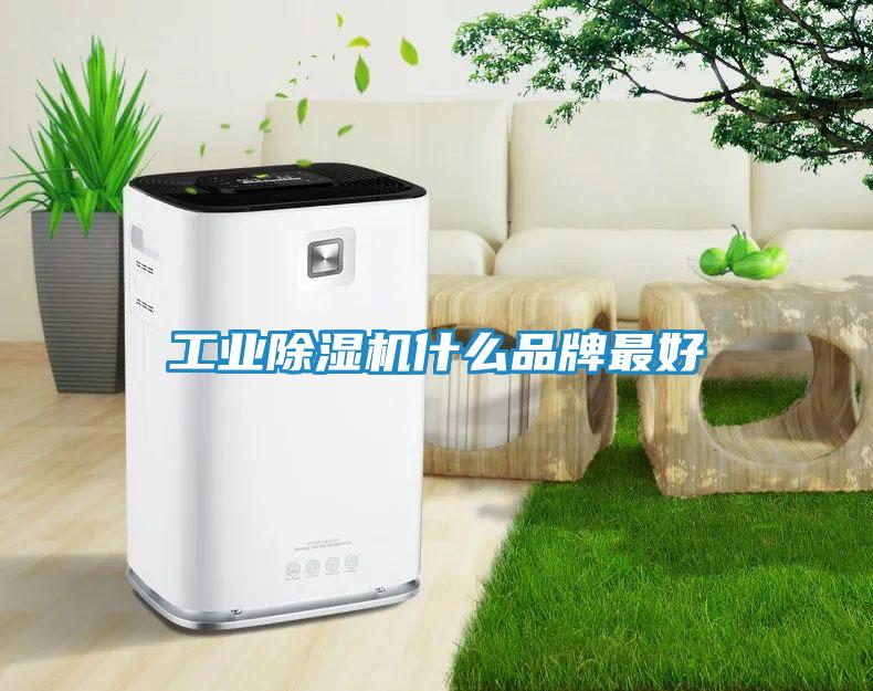 工业除湿机什么品牌最好