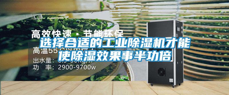 选择合适的工业除湿机才能使除湿效果事半功倍