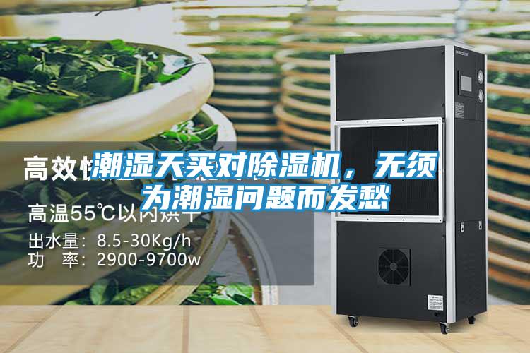 潮湿天买对除湿机，无须为潮湿问题而发愁