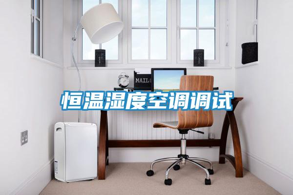 恒温湿度空调调试