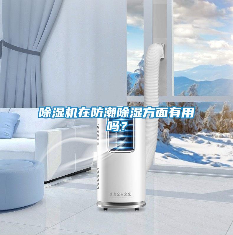 除湿机在防潮除湿方面有用吗？
