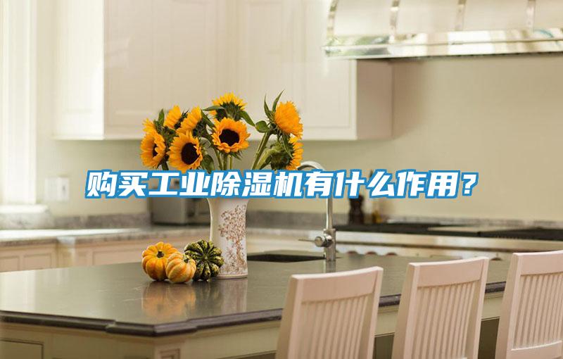 购买工业除湿机有什么作用？