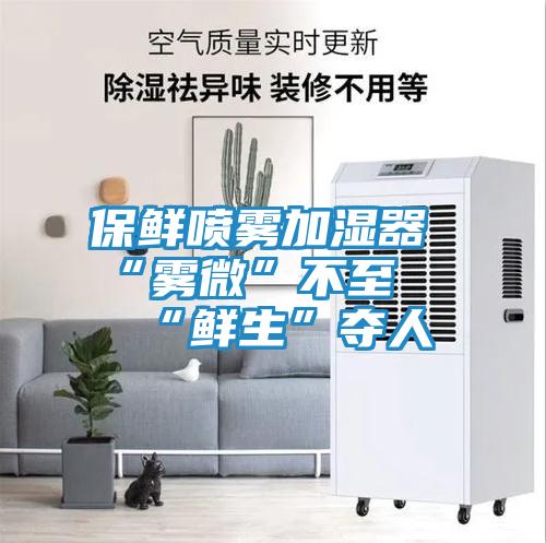 保鲜喷雾加湿器 “雾微”不至 “鲜生”夺人