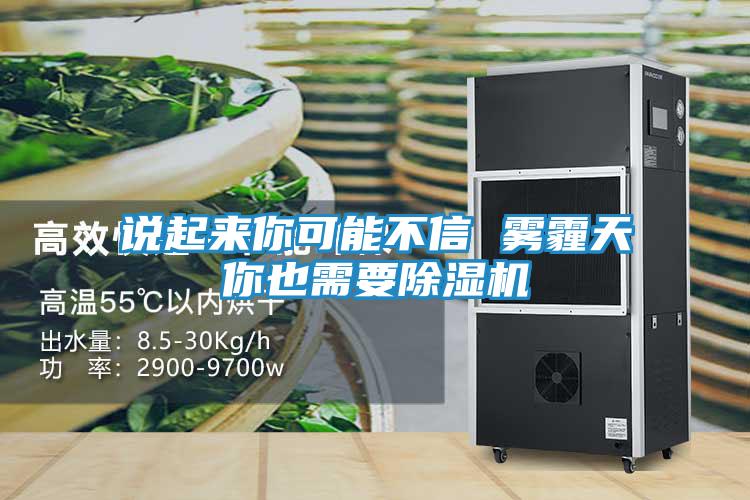 说起来你可能不信 雾霾天你也需要除湿机
