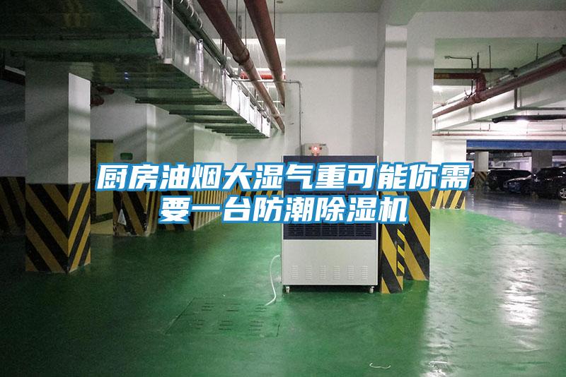 厨房油烟大湿气重可能你需要一台防潮除湿机