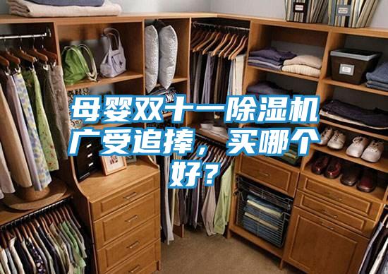 母婴双十一除湿机广受追捧,买哪个好?