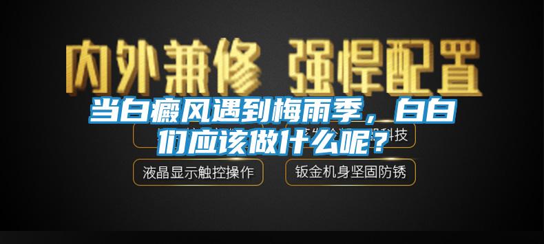 当白癜风遇到梅雨季，白白们应该做什么呢？