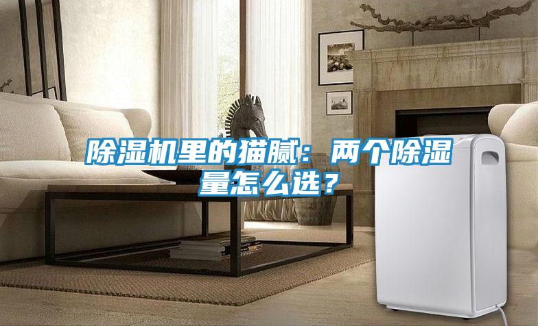 除湿机里的猫腻：两个除湿量怎么选？