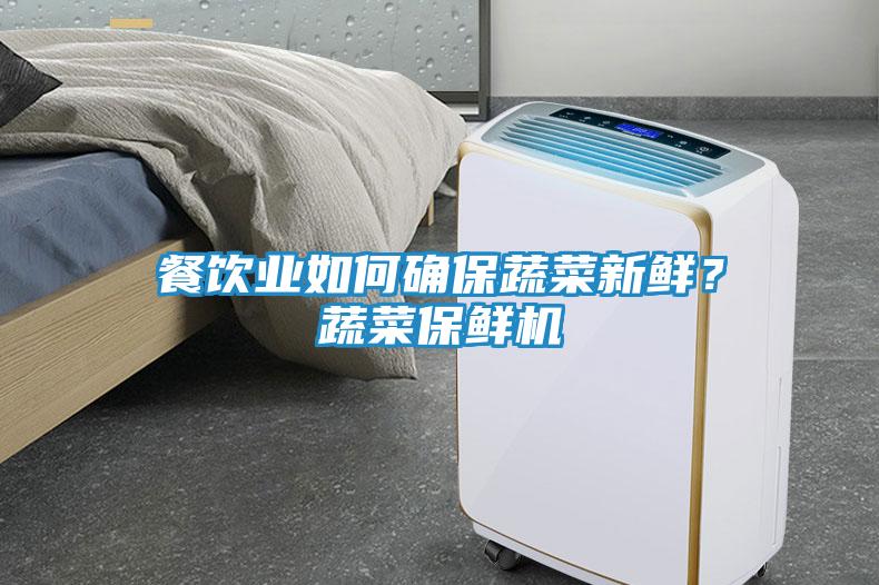 餐饮业如何确保蔬菜新鲜？蔬菜保鲜机