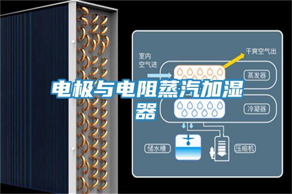电极与电阻蒸汽加湿器