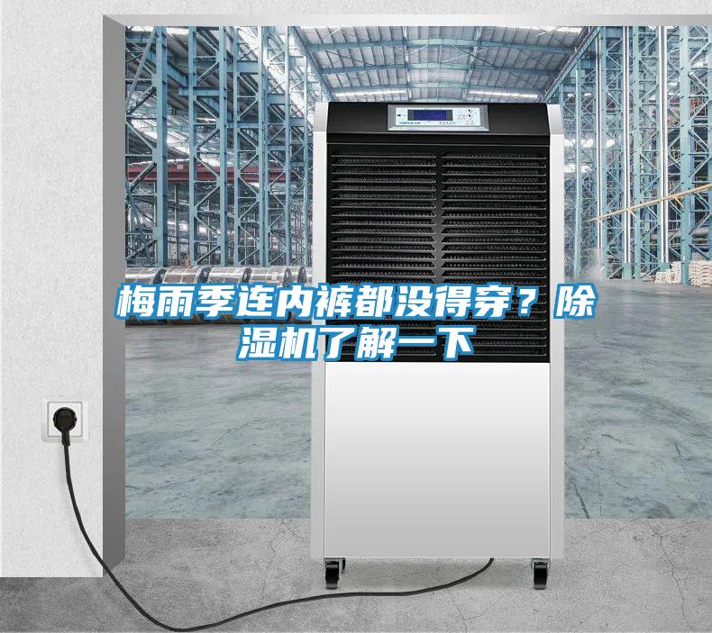 梅雨季连内裤都没得穿？除湿机了解一下