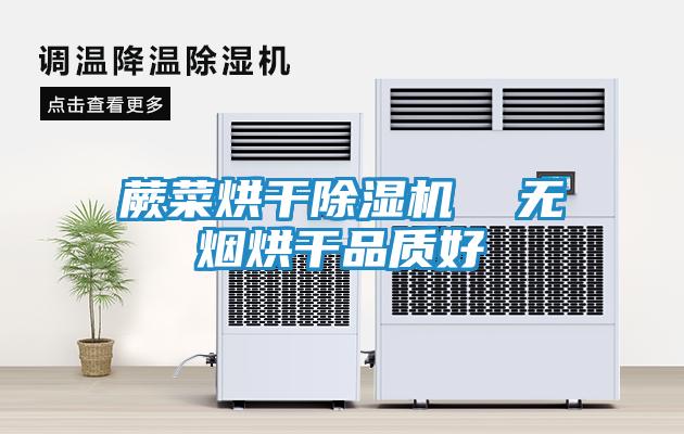 蕨菜烘干除湿机 无烟烘干品质好