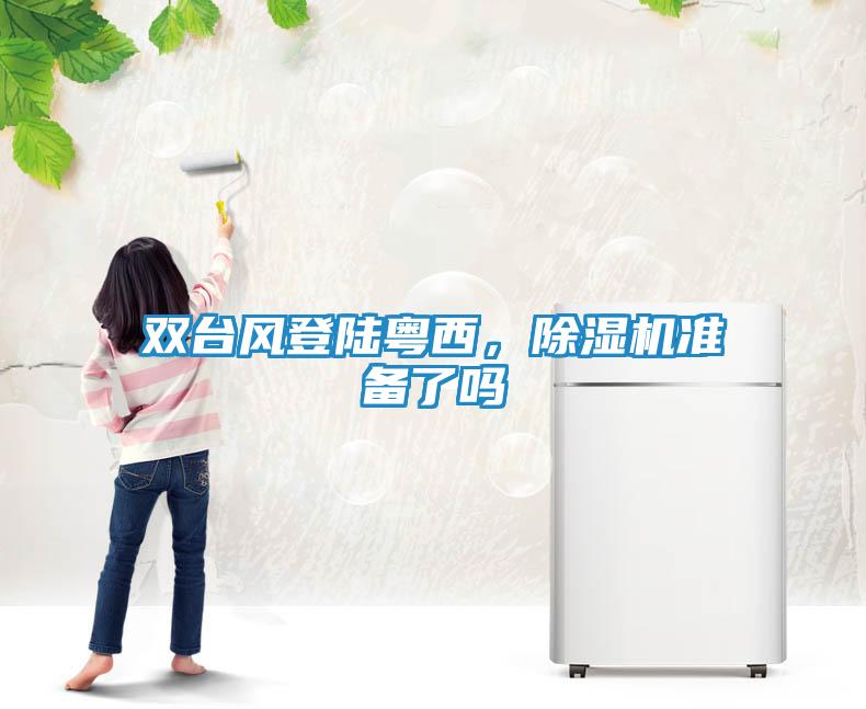 双台风登陆粤西，除湿机准备了吗