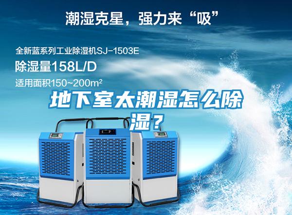 地下室太潮湿怎么除湿？