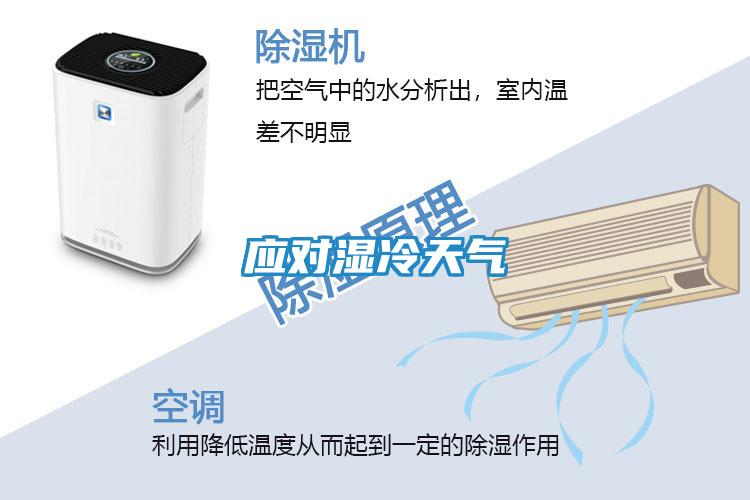 应对湿冷天气
