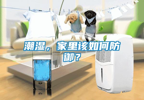潮湿，家里该如何防御？