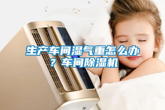 生产车间湿气重怎么办？车间除湿机