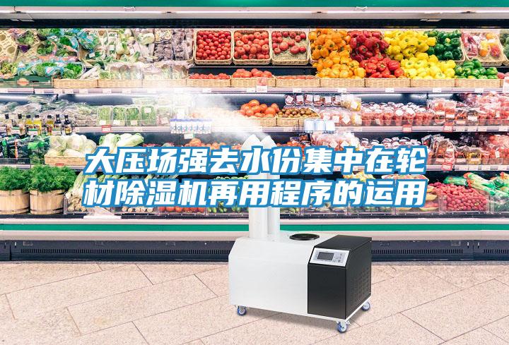 大压场强去水份集中在轮材除湿机再用程序的运用