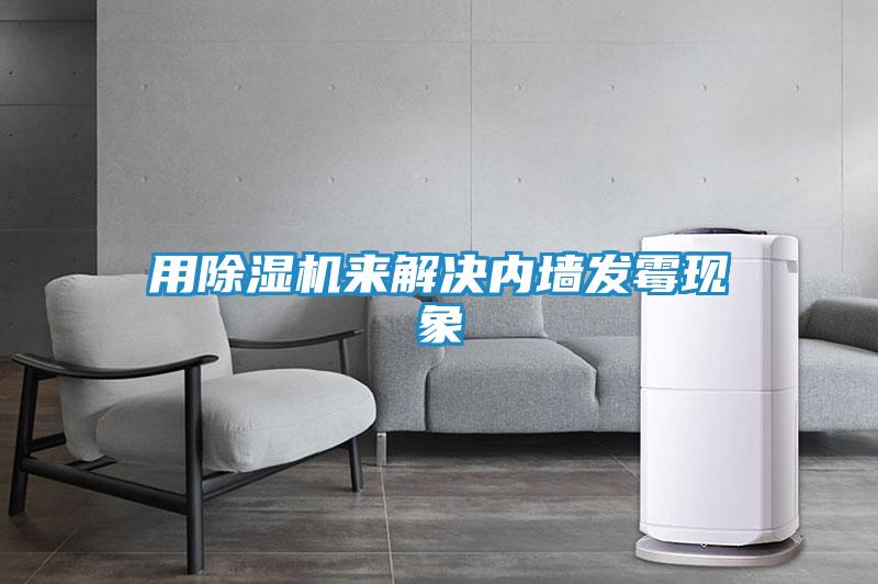 用除湿机来解决内墙发霉现象