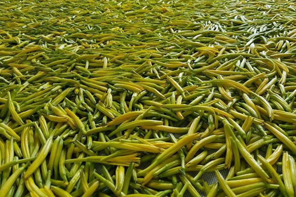 无硫金针菜烘干如何保持品相?不发黑?