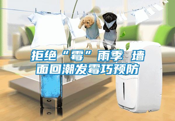 拒绝“霉”雨季 墙面回潮发霉巧预防