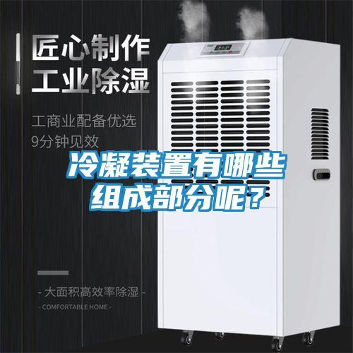 冷凝装置有哪些组成部分呢？