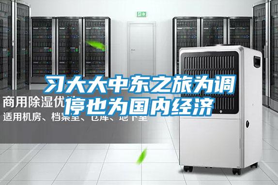 习大大中东之旅为调停也为国内经济
