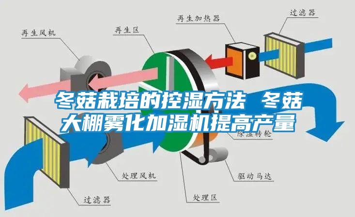 冬菇栽培的控湿方法 冬菇大棚雾化加湿机提高产量