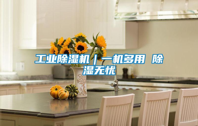 工业除湿机｜一机多用 除湿无忧