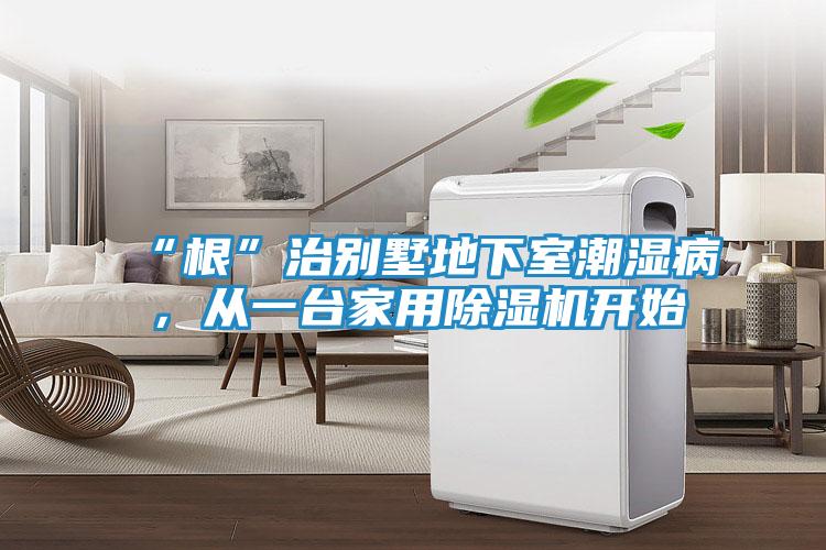 “根”治别墅地下室潮湿病，从一台家用除湿机开始