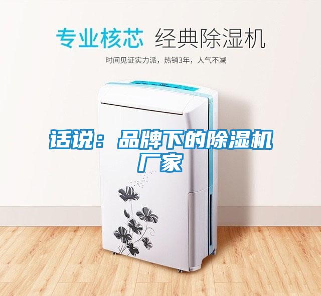 话说：品牌下的除湿机厂家