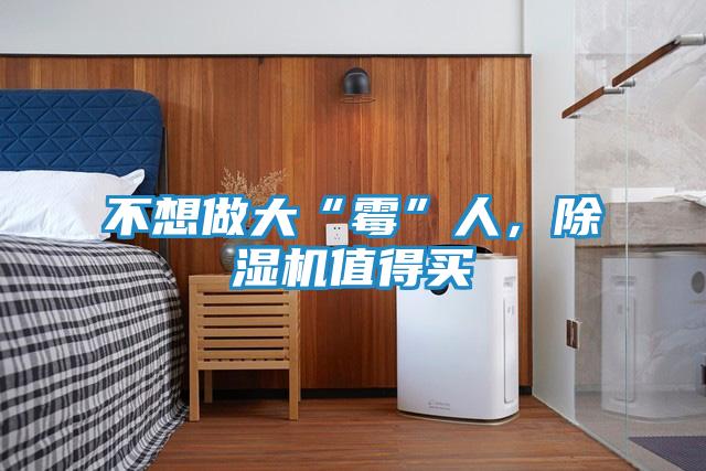 不想做大“霉”人,除湿机值得买