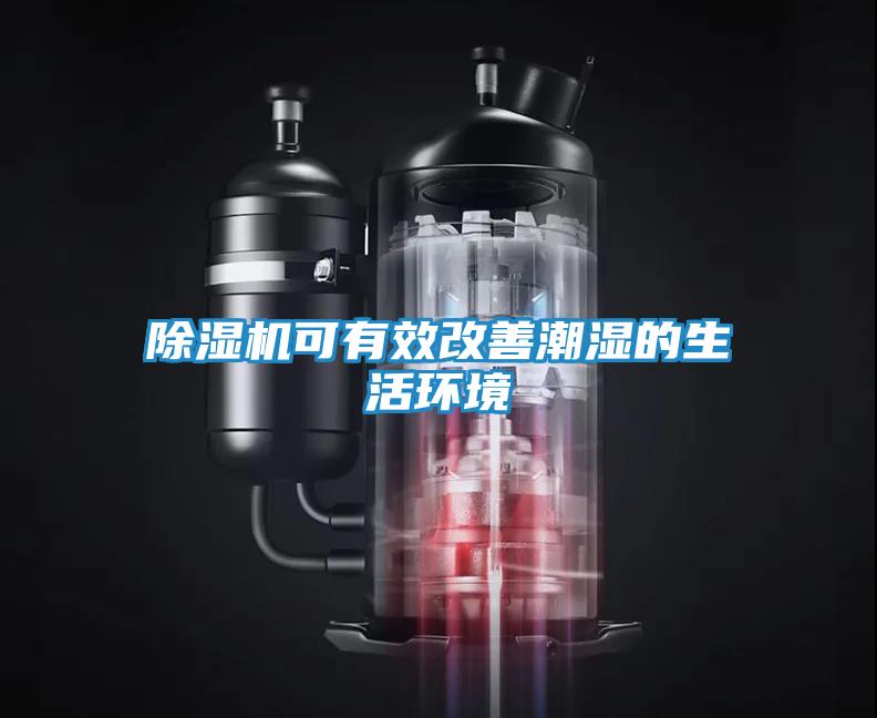 除湿机可有效改善潮湿的生活环境