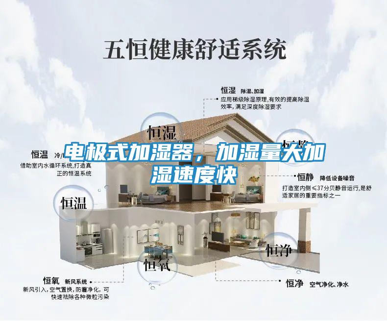 电极式加湿器,加湿量大加湿速度快